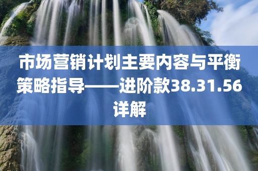 市场营销计划主要内容与平衡策略指导——进阶款38.31.56详解