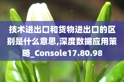 技术进出口和货物进出口的区别是什么意思,深度数据应用策略_Console17.80.98