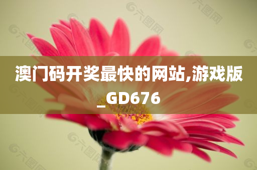 澳门码开奖最快的网站,游戏版_GD676