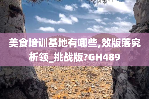 美食培训基地有哪些,效版落究析领_挑战版?GH489