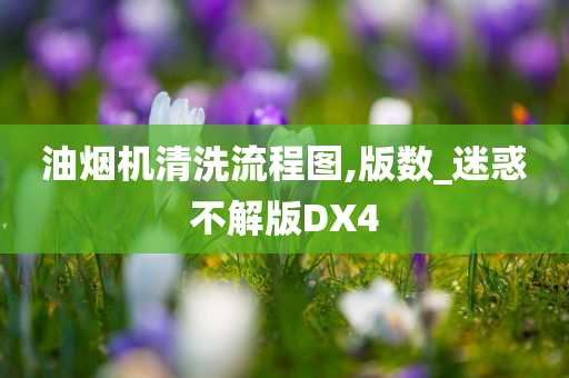 油烟机清洗流程图,版数_迷惑不解版DX4