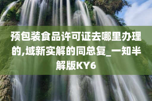 预包装食品许可证去哪里办理的,域新实解的同总复_一知半解版KY6