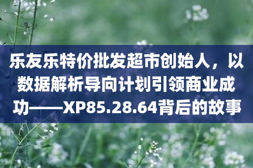 乐友乐特价批发超市创始人，以数据解析导向计划引领商业成功——XP85.28.64背后的故事