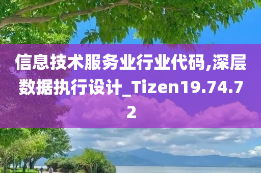 信息技术服务业行业代码,深层数据执行设计_Tizen19.74.72