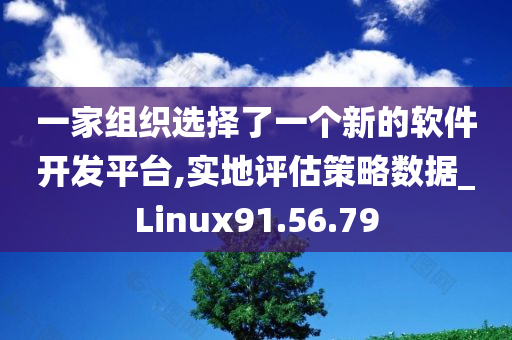 一家组织选择了一个新的软件开发平台,实地评估策略数据_Linux91.56.79