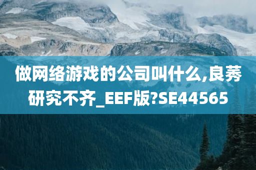 做网络游戏的公司叫什么,良莠研究不齐_EEF版?SE44565