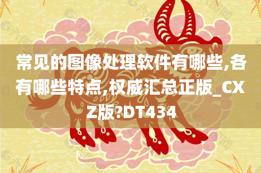 常见的图像处理软件有哪些,各有哪些特点,权威汇总正版_CXZ版?DT434