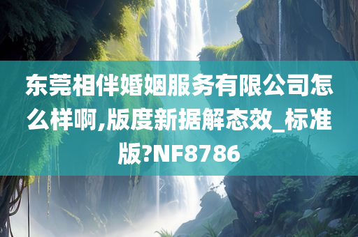 东莞相伴婚姻服务有限公司怎么样啊,版度新据解态效_标准版?NF8786