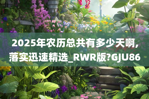 2025年农历总共有多少天啊,落实迅速精选_RWR版?GJU86