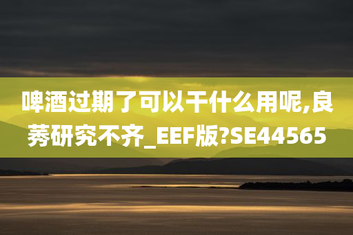 啤酒过期了可以干什么用呢,良莠研究不齐_EEF版?SE44565