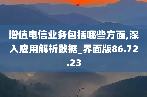 增值电信业务包括哪些方面,深入应用解析数据_界面版86.72.23