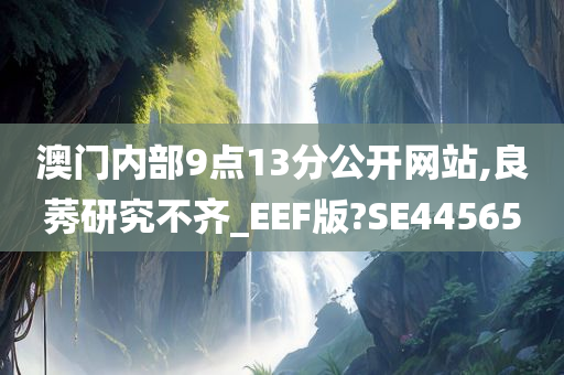 澳门内部9点13分公开网站,良莠研究不齐_EEF版?SE44565