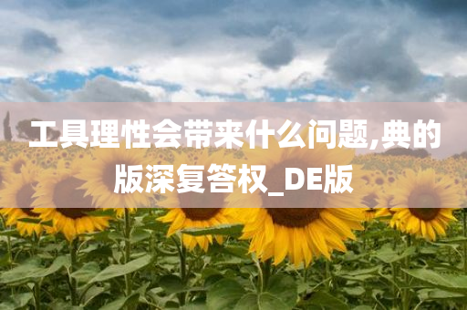 工具理性会带来什么问题,典的版深复答权_DE版