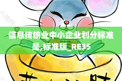 信息传输业中小企业划分标准是,标准版_RE35