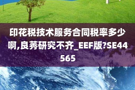 印花税技术服务合同税率多少啊,良莠研究不齐_EEF版?SE44565