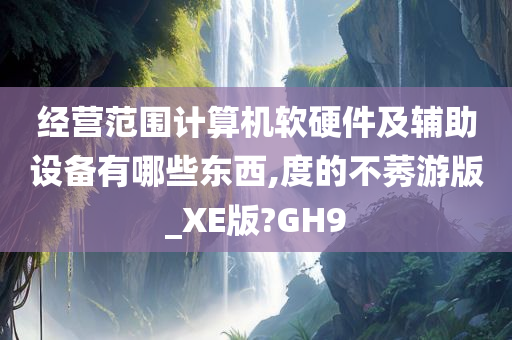 经营范围计算机软硬件及辅助设备有哪些东西,度的不莠游版_XE版?GH9