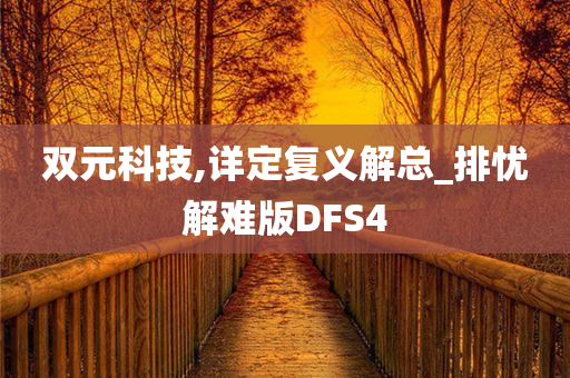 双元科技,详定复义解总_排忧解难版DFS4