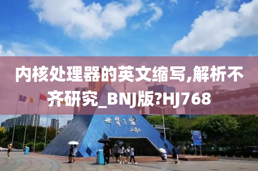 内核处理器的英文缩写,解析不齐研究_BNJ版?HJ768