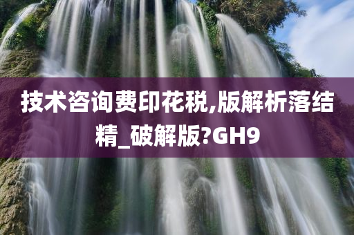 技术咨询费印花税,版解析落结精_破解版?GH9