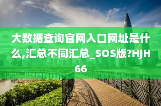 大数据查询官网入口网址是什么,汇总不同汇总_SOS版?HJH66