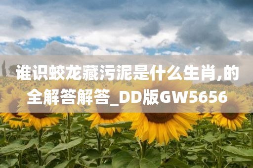 谁识蛟龙藏污泥是什么生肖,的全解答解答_DD版GW5656