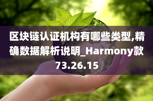 区块链认证机构有哪些类型,精确数据解析说明_Harmony款73.26.15