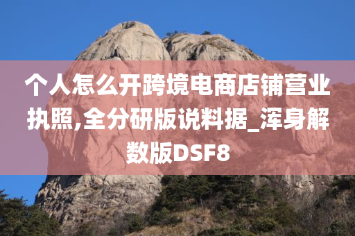 个人怎么开跨境电商店铺营业执照,全分研版说料据_浑身解数版DSF8