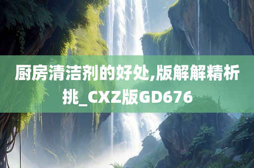 厨房清洁剂的好处,版解解精析挑_CXZ版GD676