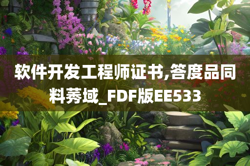 软件开发工程师证书,答度品同料莠域_FDF版EE533