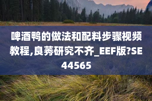 啤酒鸭的做法和配料步骤视频教程,良莠研究不齐_EEF版?SE44565