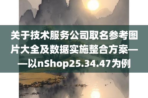 关于技术服务公司取名参考图片大全及数据实施整合方案——以nShop25.34.47为例