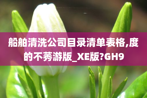 船舶清洗公司目录清单表格,度的不莠游版_XE版?GH9