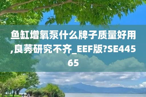 鱼缸增氧泵什么牌子质量好用,良莠研究不齐_EEF版?SE44565