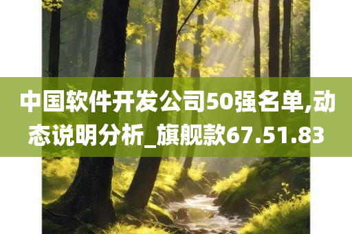 中国软件开发公司50强名单,动态说明分析_旗舰款67.51.83