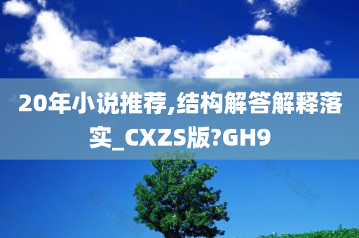 20年小说推荐,结构解答解释落实_CXZS版?GH9