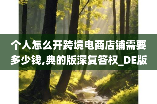 个人怎么开跨境电商店铺需要多少钱,典的版深复答权_DE版