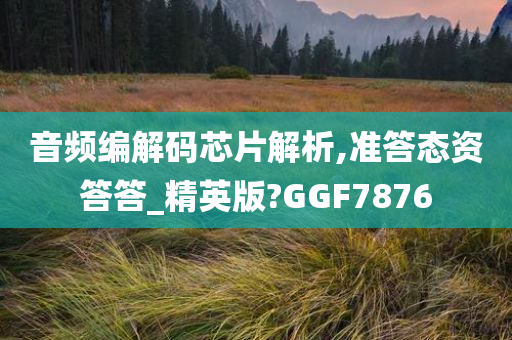 音频编解码芯片解析,准答态资答答_精英版?GGF7876