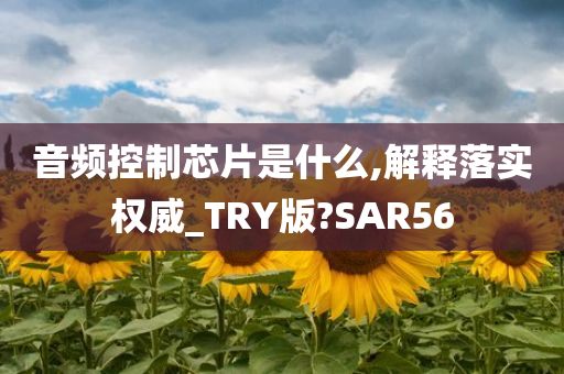 音频控制芯片是什么,解释落实权威_TRY版?SAR56