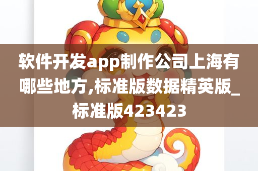 软件开发app制作公司上海有哪些地方,标准版数据精英版_标准版423423