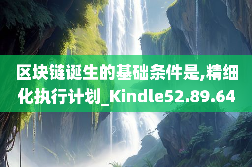 区块链诞生的基础条件是,精细化执行计划_Kindle52.89.64