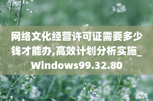 网络文化经营许可证需要多少钱才能办,高效计划分析实施_Windows99.32.80