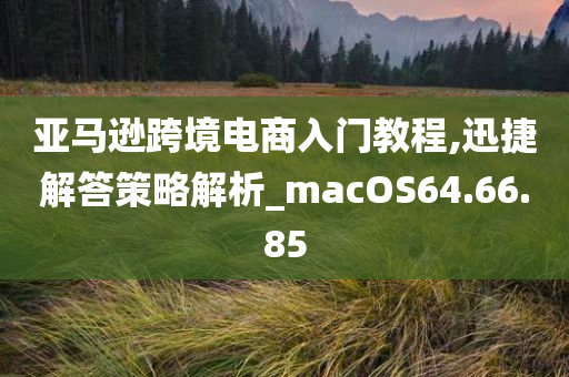 亚马逊跨境电商入门教程,迅捷解答策略解析_macOS64.66.85