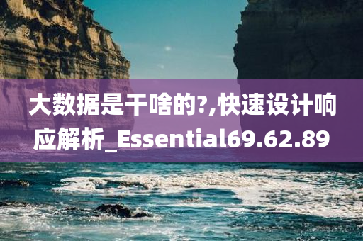 大数据是干啥的?,快速设计响应解析_Essential69.62.89