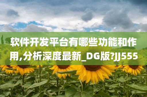 软件开发平台有哪些功能和作用,分析深度最新_DG版?JJ555