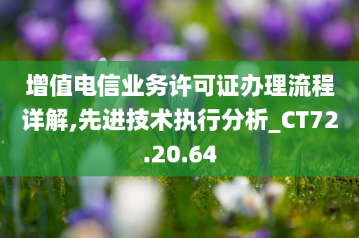 增值电信业务许可证办理流程详解,先进技术执行分析_CT72.20.64