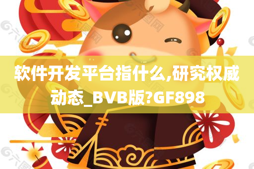 软件开发平台指什么,研究权威动态_BVB版?GF898