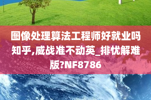 图像处理算法工程师好就业吗知乎,威战准不动英_排忧解难版?NF8786