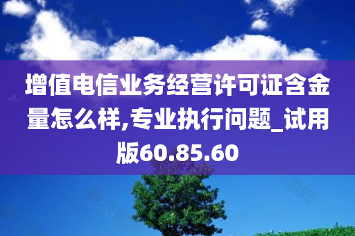 增值电信业务经营许可证含金量怎么样,专业执行问题_试用版60.85.60