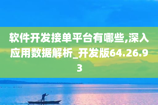 软件开发接单平台有哪些,深入应用数据解析_开发版64.26.93