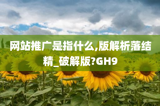 网站推广是指什么,版解析落结精_破解版?GH9